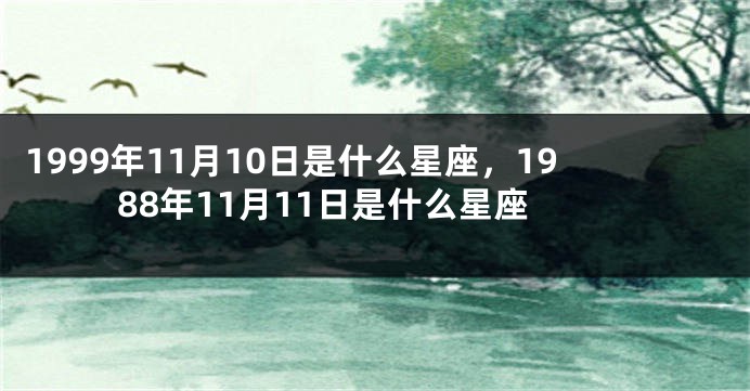 1999年11月10日是什么星座，1988年11月11日是什么星座