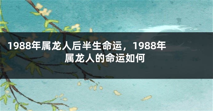 1988年属龙人后半生命运，1988年属龙人的命运如何