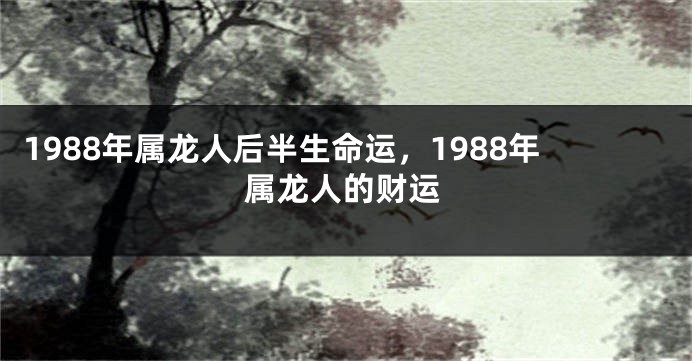 1988年属龙人后半生命运，1988年属龙人的财运