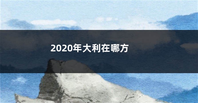 2020年大利在哪方