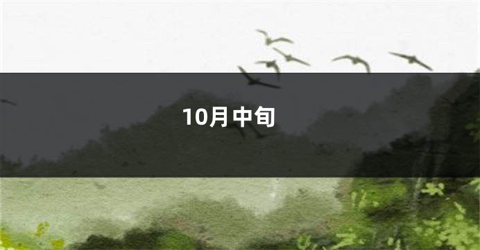 10月中旬