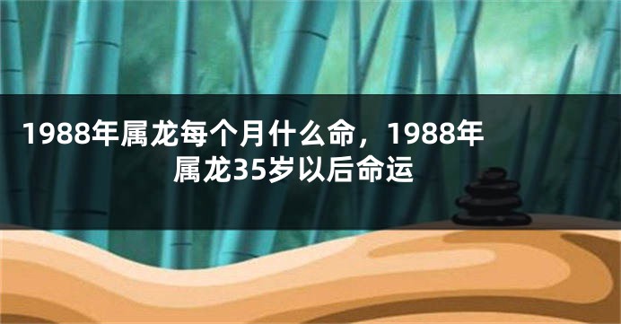 1988年属龙每个月什么命，1988年属龙35岁以后命运