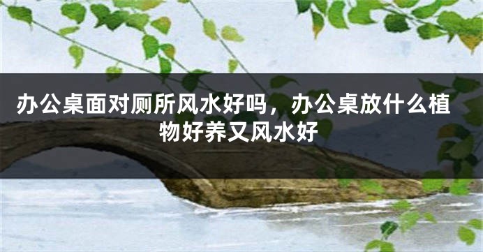 办公桌面对厕所风水好吗，办公桌放什么植物好养又风水好