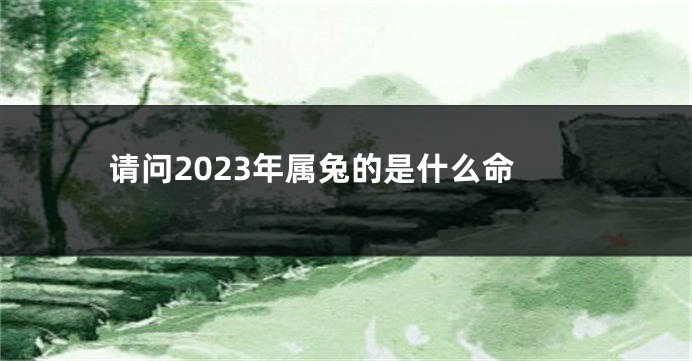 请问2023年属兔的是什么命