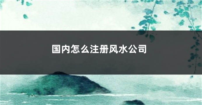 国内怎么注册风水公司