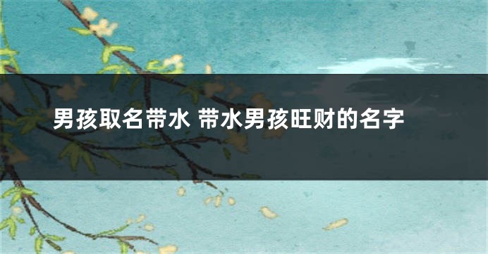 男孩取名带水 带水男孩旺财的名字