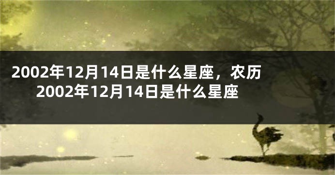 2002年12月14日是什么星座，农历2002年12月14日是什么星座