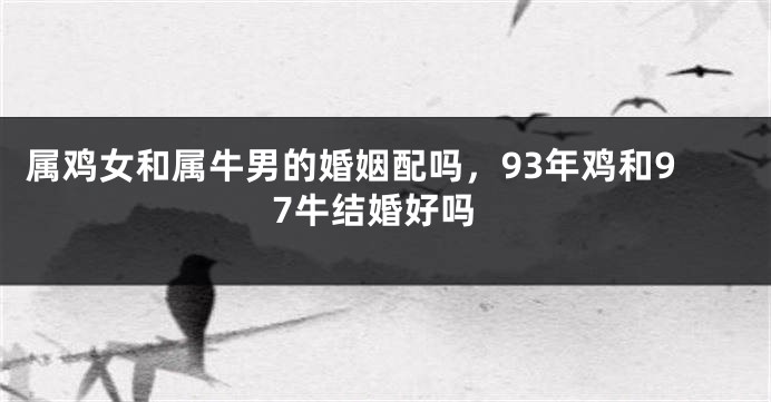 属鸡女和属牛男的婚姻配吗，93年鸡和97牛结婚好吗