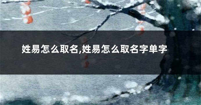 姓易怎么取名,姓易怎么取名字单字