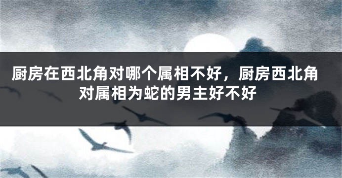 厨房在西北角对哪个属相不好，厨房西北角对属相为蛇的男主好不好