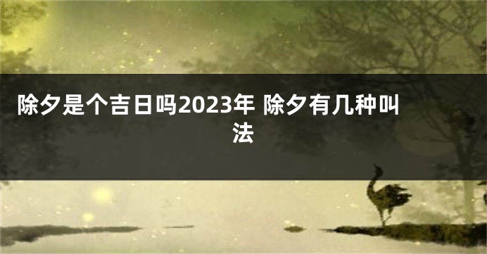 除夕是个吉日吗2023年 除夕有几种叫法