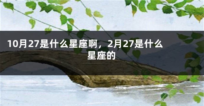 10月27是什么星座啊，2月27是什么星座的