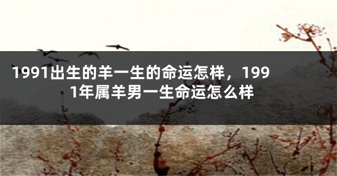 1991出生的羊一生的命运怎样，1991年属羊男一生命运怎么样