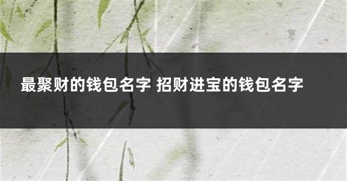 最聚财的钱包名字 招财进宝的钱包名字