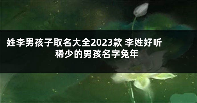 姓李男孩子取名大全2023款 李姓好听稀少的男孩名字兔年