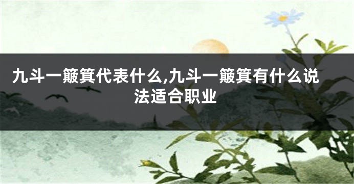 九斗一簸箕代表什么,九斗一簸箕有什么说法适合职业