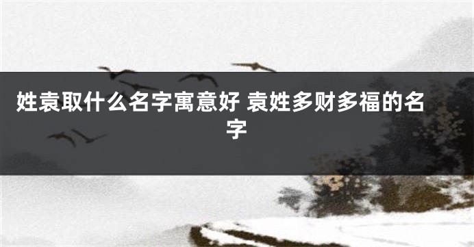 姓袁取什么名字寓意好 袁姓多财多福的名字