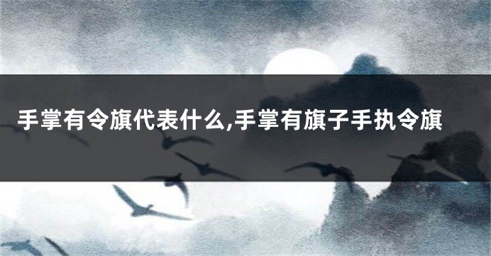 手掌有令旗代表什么,手掌有旗子手执令旗