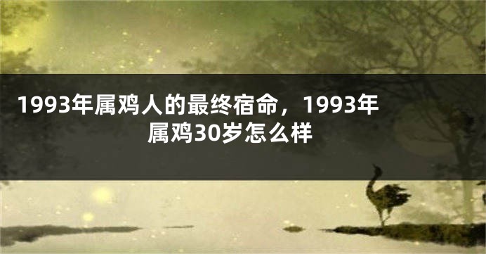 1993年属鸡人的最终宿命，1993年属鸡30岁怎么样