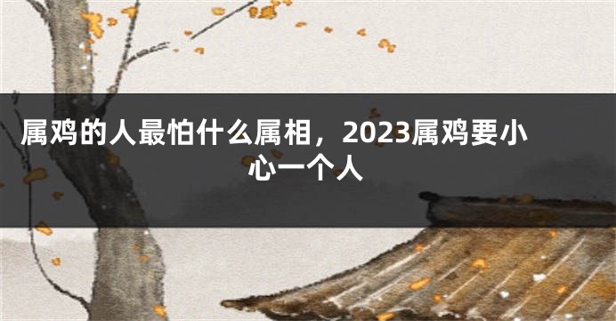 属鸡的人最怕什么属相，2023属鸡要小心一个人