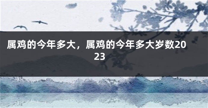 属鸡的今年多大，属鸡的今年多大岁数2023