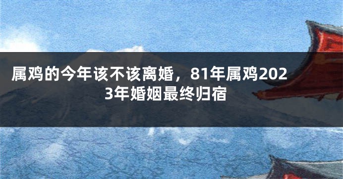 属鸡的今年该不该离婚，81年属鸡2023年婚姻最终归宿