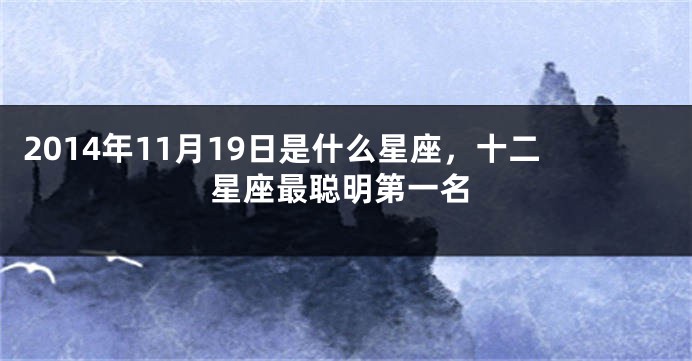 2014年11月19日是什么星座，十二星座最聪明第一名