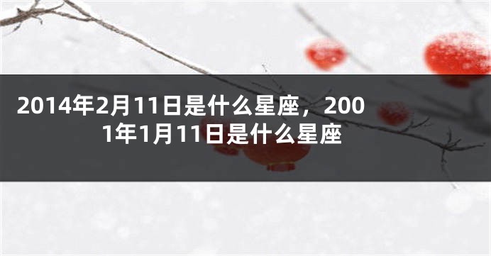 2014年2月11日是什么星座，2001年1月11日是什么星座