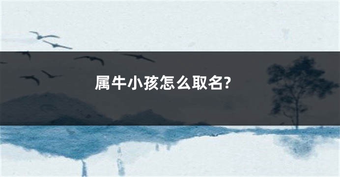 属牛小孩怎么取名?