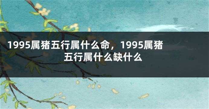 1995属猪五行属什么命，1995属猪五行属什么缺什么