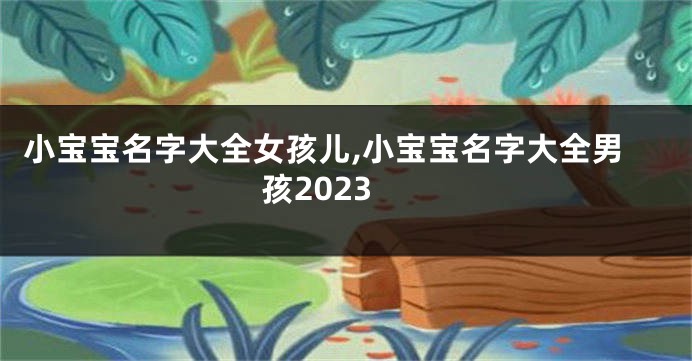 小宝宝名字大全女孩儿,小宝宝名字大全男孩2023