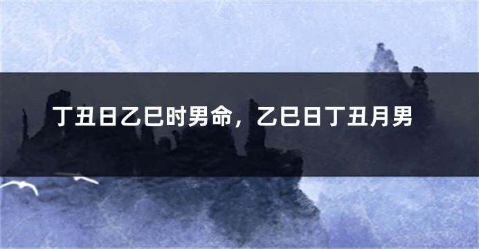 丁丑日乙巳时男命，乙巳日丁丑月男