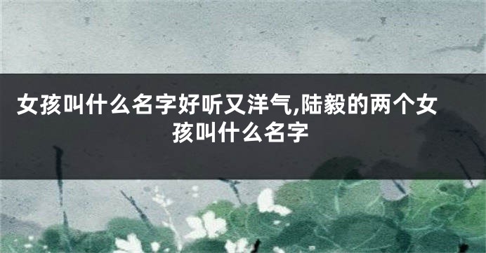 女孩叫什么名字好听又洋气,陆毅的两个女孩叫什么名字