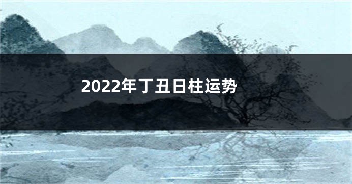 2022年丁丑日柱运势