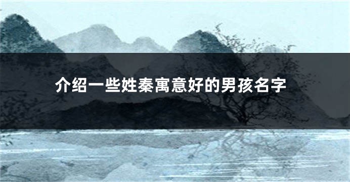 介绍一些姓秦寓意好的男孩名字