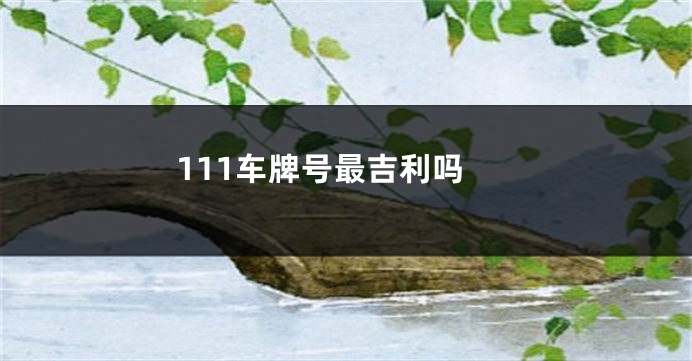 111车牌号最吉利吗