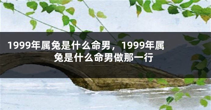 1999年属兔是什么命男，1999年属兔是什么命男做那一行