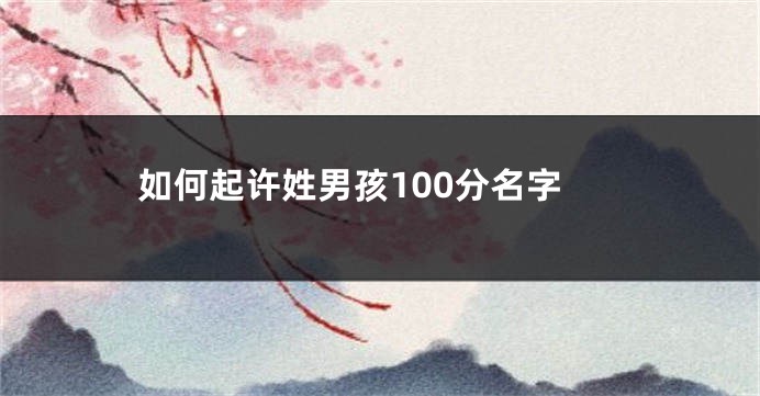 如何起许姓男孩100分名字