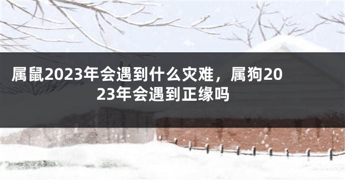 属鼠2023年会遇到什么灾难，属狗2023年会遇到正缘吗