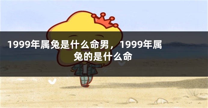 1999年属兔是什么命男，1999年属兔的是什么命