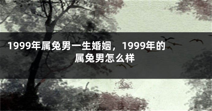 1999年属兔男一生婚姻，1999年的属兔男怎么样