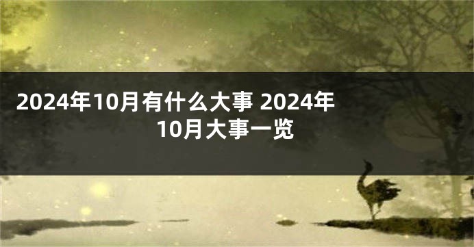 2024年10月有什么大事 2024年10月大事一览