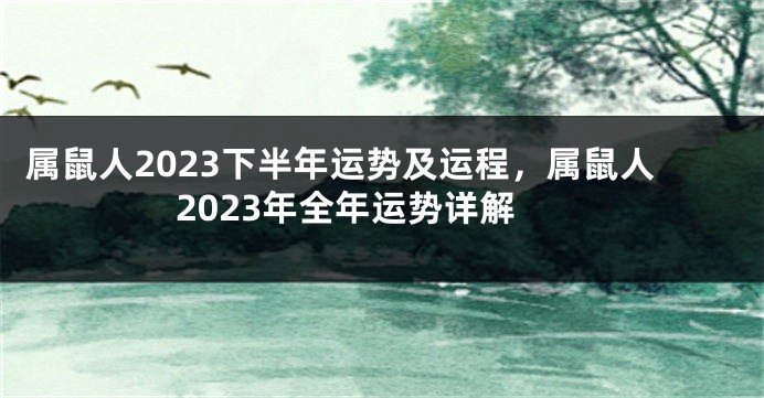 属鼠人2023下半年运势及运程，属鼠人2023年全年运势详解