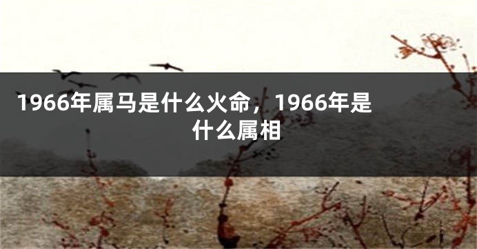 1966年属马是什么火命，1966年是什么属相