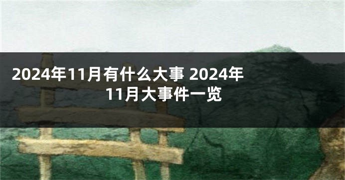 2024年11月有什么大事 2024年11月大事件一览