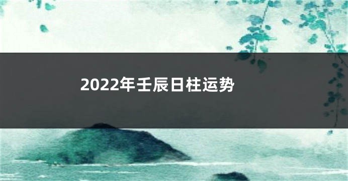 2022年壬辰日柱运势