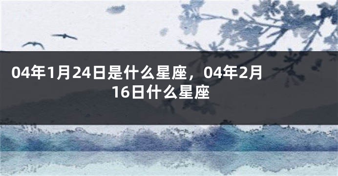 04年1月24日是什么星座，04年2月16日什么星座