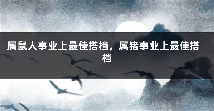 属鼠人事业上最佳搭档，属猪事业上最佳搭档