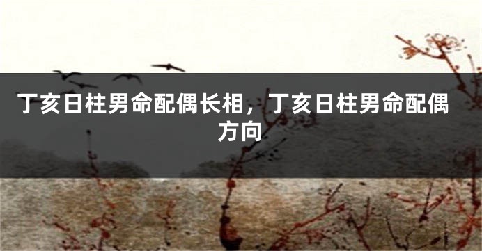 丁亥日柱男命配偶长相，丁亥日柱男命配偶方向