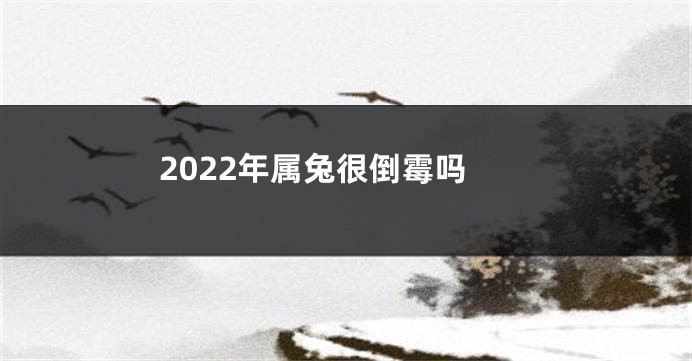 2022年属兔很倒霉吗